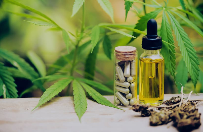 All About CBD Oil: A Comprehensive Guide