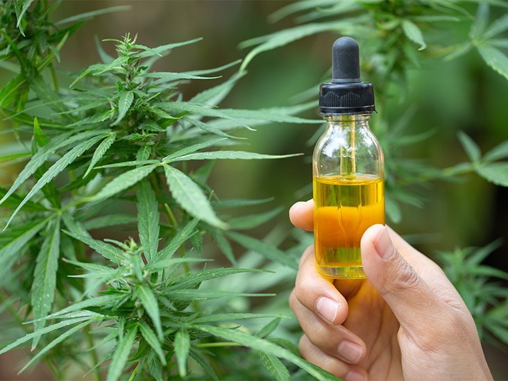 All About CBD for Pain Relief: A Comprehensive Guide